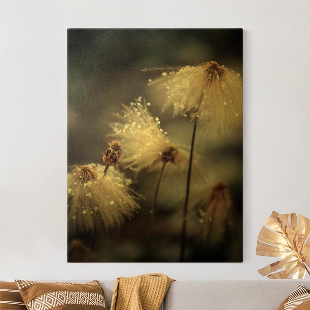 Dandelions with Snowflakes - Wrapped Canvas Photograph Ebern Designs Size: 100cm H x 75cm W on Productcaster.