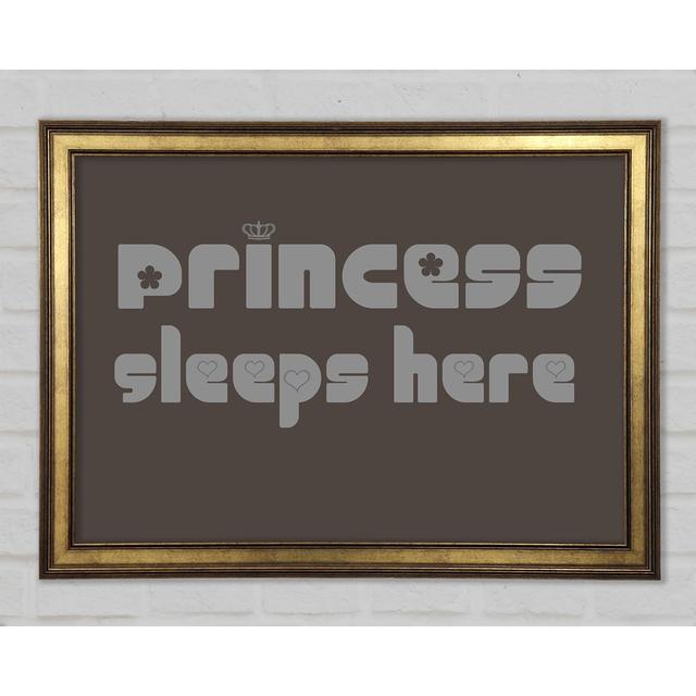 Princesss Sleeps Here 2 Framed Print Happy Larry Colour: Chocolate, Size: 29.7cm H x 42cm W x 1.5cm D on Productcaster.