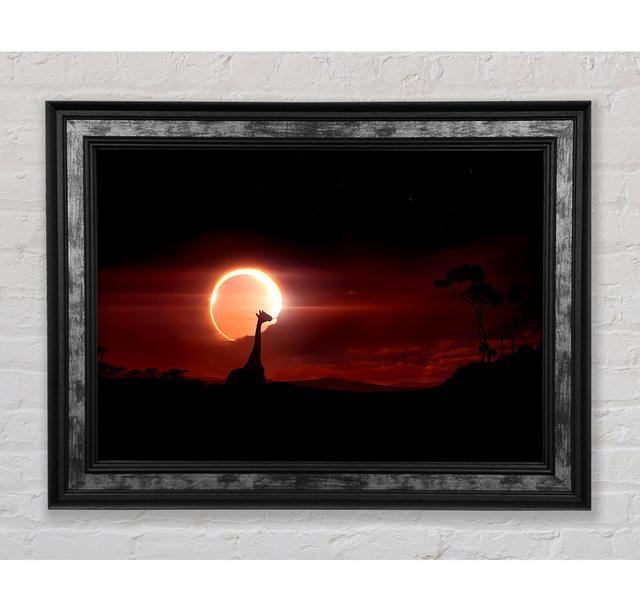 Eclipse - Single Picture Frame Art Prints Bright Star Size: 29.7cm H x 42cm W x 8cm D on Productcaster.