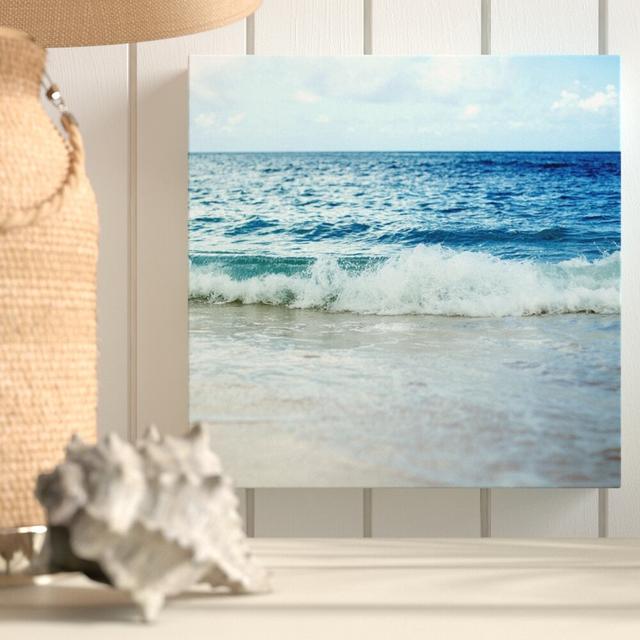 'Sea Life III' Photographic Print on Wrapped Canvas Oliver Gal Size: 61cm H x 61cm W on Productcaster.