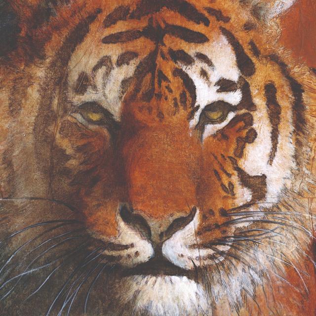 Fire Tiger - Wrapped Canvas Painting Latitude Vive Size: 30cm H x 30cm W x 3.8cm D on Productcaster.