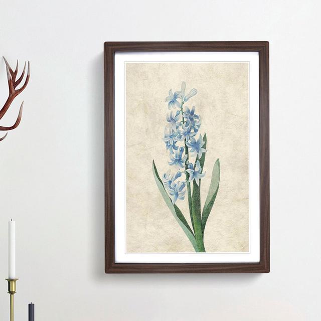 Dutch Hyacinth Flowers by Pierre-Joseph Redoute - Picture Frame Painting Print East Urban Home Frame Option: Walnut Framed, Size: 48cm H x 36cm W x 2c on Productcaster.