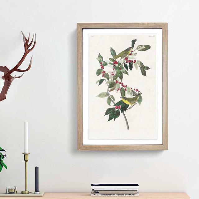 Nashville Warbler Birds by John Audubon - Picture Frame Painting Print East Urban Home Frame Option: Oak Framed, Size: 65cm H x 48cm W x 2cm D on Productcaster.