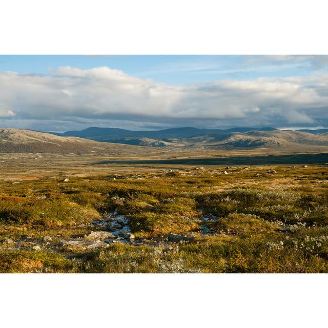 Summer Tundra - Print Alpen Home Size: 50cm H x 75cm W x 1.8cm D on Productcaster.