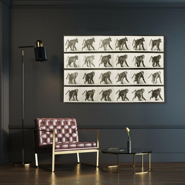 Baboon In Motion by Oliver Gal - Wrapped Canvas Print East Urban Home Size: 40.6 cm H x 61 cm W on Productcaster.