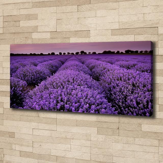 Lavender Field - Unframed Photograph on Canvas Brayden Studio on Productcaster.