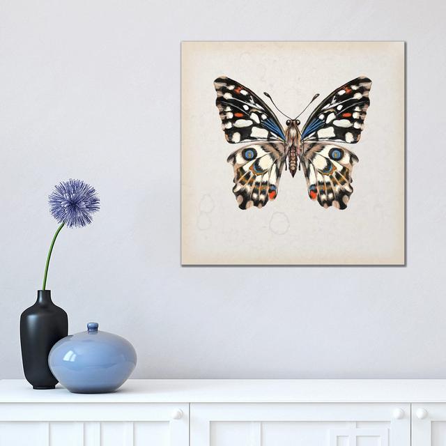 Butterfly Study II by Melissa Wang - Wrapped Canvas Painting August Grove Size: 45.72cm H x 45.72cm W x 3.81cm D on Productcaster.