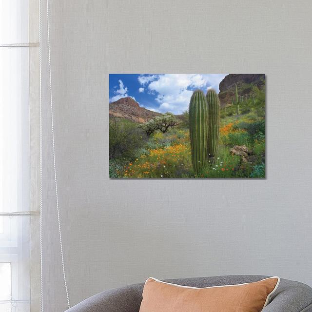 Saguaro Amid Flowering Lupine, California Brittlebush, Organ Pipe Cactus National Monument, Arizona and Desert Golden Poppies II by Tim Fitzharris - W on Productcaster.