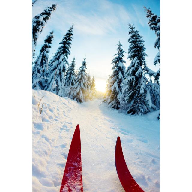 Skiing At Sunset In Oslo by ROMAOSLO - Wrapped Canvas Art Prints Alpen Home Size: 81cm H x 122cm W on Productcaster.