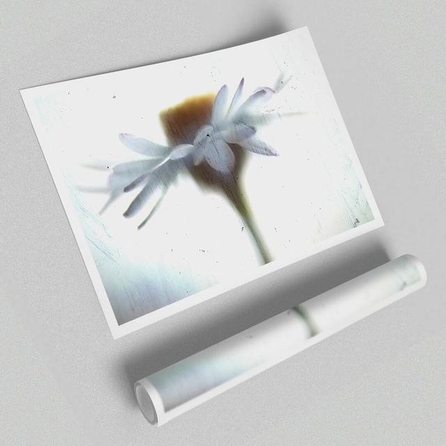 Vintage Daisy Flowers' - Unframed Photographic Print on Paper East Urban Home Size: 100 cm H x 141.4 cm W on Productcaster.