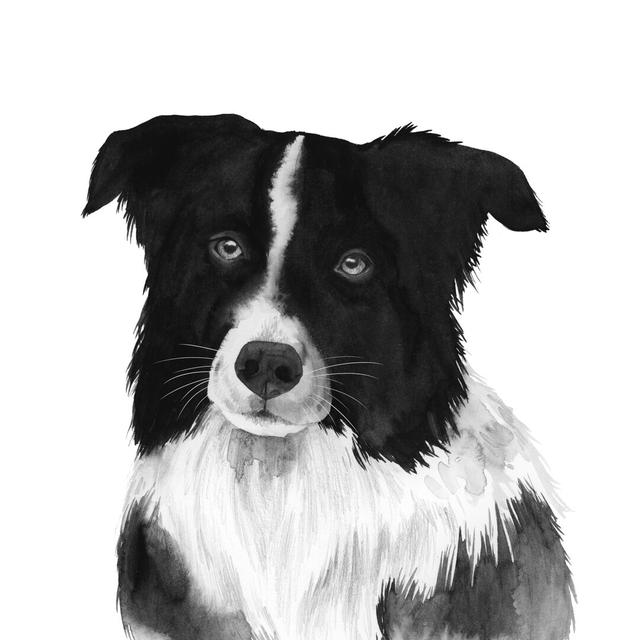 Border Collie II by Grace Popp - Wrapped Canvas Painting Rosalind Wheeler Size: 91cm H x 91cm W x 3.8cm D on Productcaster.