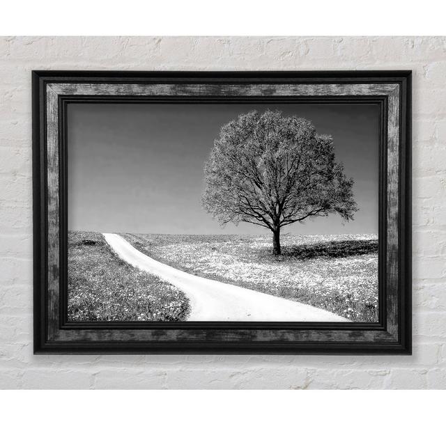 Summers Day B N W - Single Picture Frame Art Prints Bright Star Size: 21cm H x 42cm W x 8cm D on Productcaster.