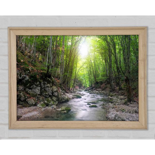 Green Woodland Stream Walk - Single Picture Frame Art Prints Union Rustic Size: 29.7cm H x 42cm W x 1.5cm D on Productcaster.