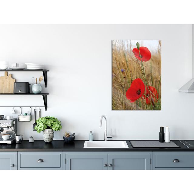 Poppies In A Cornfield - No Frame Print on Glass Brayden Studio Size: 80cm H x 60cm W x 0.4cm D on Productcaster.