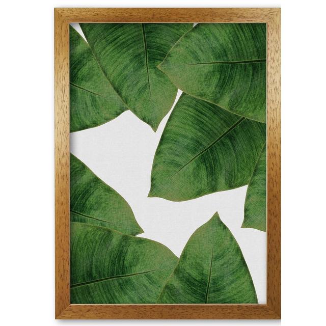 Banana Leaf II - Graphic Art Print on Paper East Urban Home Format: Honey Oak Frame, Size: 85 cm H x 60 cm W x 5 cm D on Productcaster.