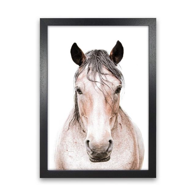 Horse by Victoria Frost - Photograph Print August Grove Format: Black Framed, Size: 34cm H x 25cm W x 3cm D on Productcaster.