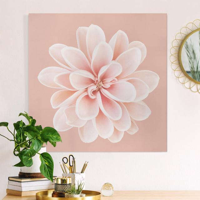 Leinwandbild Dahlia Pink Pastel White Centered Ebern Designs Größe: 60 cm H x 60 cm B, Format: 330g/qm Recycled Canvas on Productcaster.