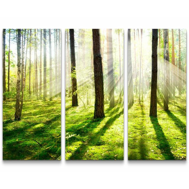 3-tlg. Leinwandbilder-Set Sonnenstrahlen im Wald East Urban Home on Productcaster.