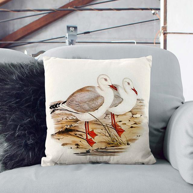 Jameson's Gull by Elizabeth Gould Cushion with Filling East Urban Home Size: 55cm H x 55cm W x 20cm D, Backing Colour: Stone on Productcaster.