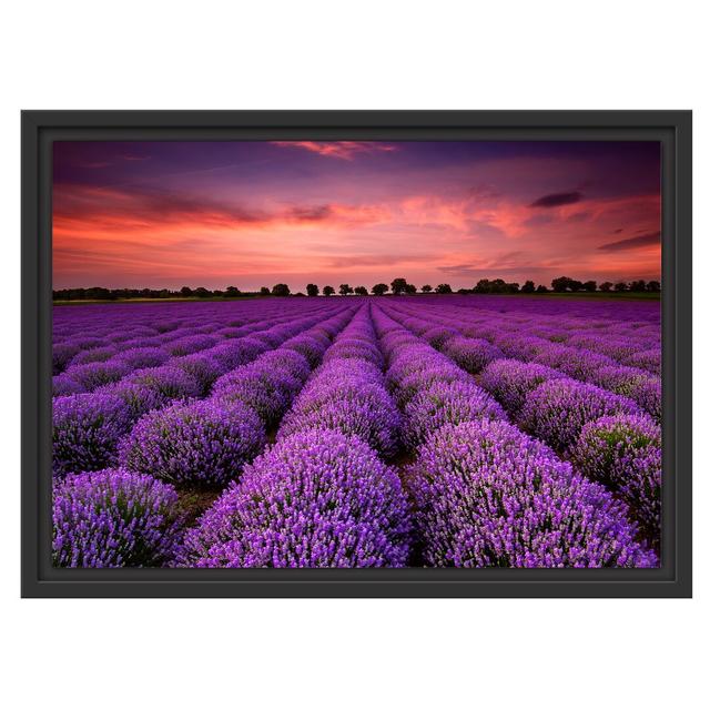 Gerahmtes Wandbild Wunderschöne Lavendel Provence East Urban Home Größe: 40 cm H x 55 cm B on Productcaster.