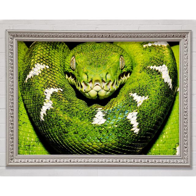 The Serpent - Single Picture Frame Art Prints Bright Star Size: 84.1cm H x 118.1cm W x 3cm D on Productcaster.