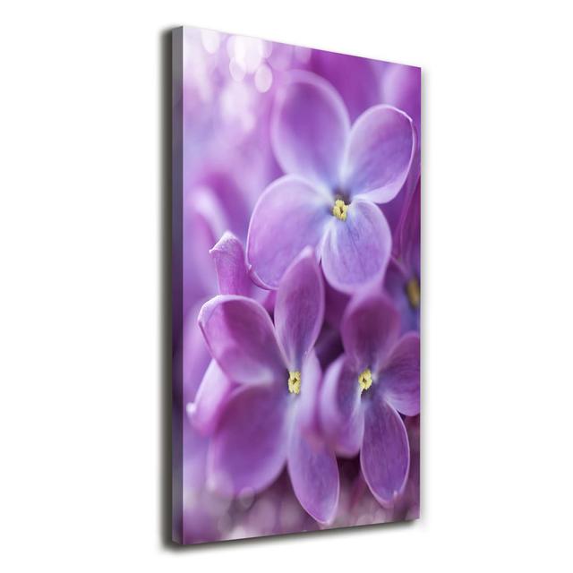 Canvas Print - Wall Art - Prints On Canvas - 60X120 Image Picture Theme: Crocuses In The Snow Ebern Designs on Productcaster.