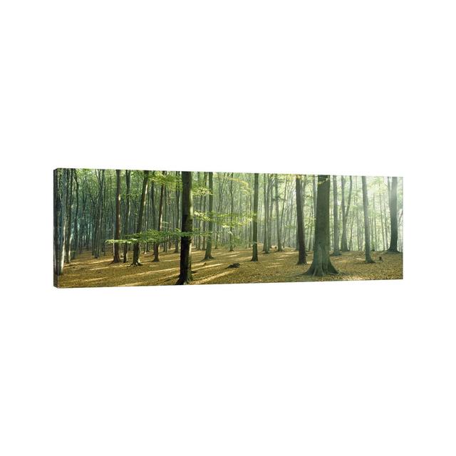 Woodlands Near Annweiler Germany - Wrapped Canvas Panoramic Print Union Rustic Size: 60.96cm H x 182.88cm W x 3.81cm D on Productcaster.