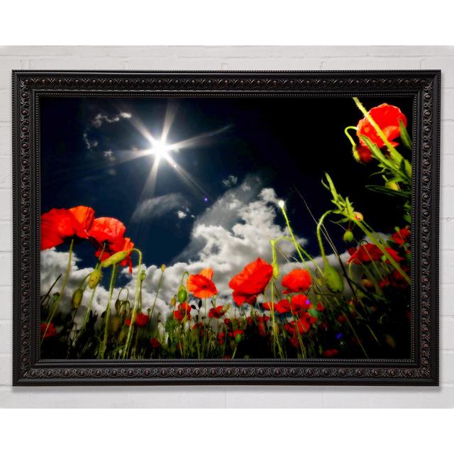 Poppy Field Sun Star - Print Brayden Studio Format: Black Framed Paper, Size: 42cm H x 59.7cm W x 3cm D on Productcaster.