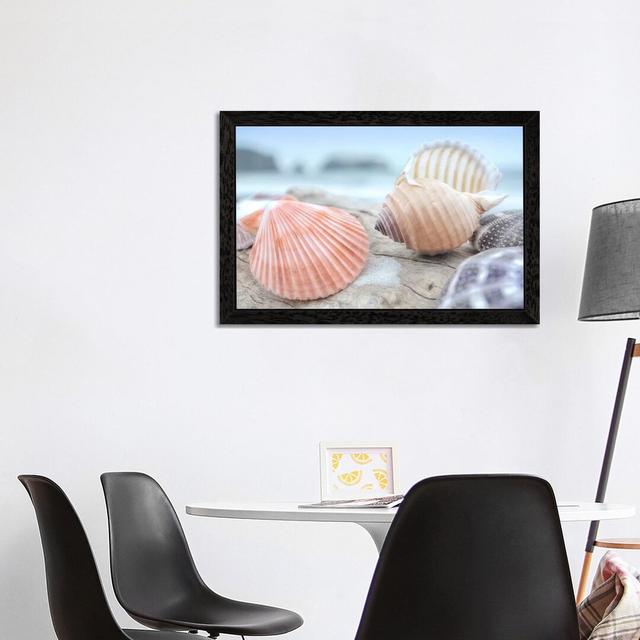 'Crescent Beach Shells X' by Alan Blaustein - Floater Frame Photograph Print on Canvas Highland Dunes Size: 66.04cm H x 101.6cm W x 3.81cm D, Frame Op on Productcaster.