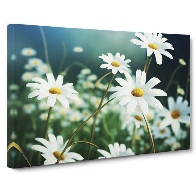 Splendorous Daisy Flowers - Wrapped Canvas Graphic Art ClassicLiving Size: 40cm H x 60cm W x 3cm D on Productcaster.