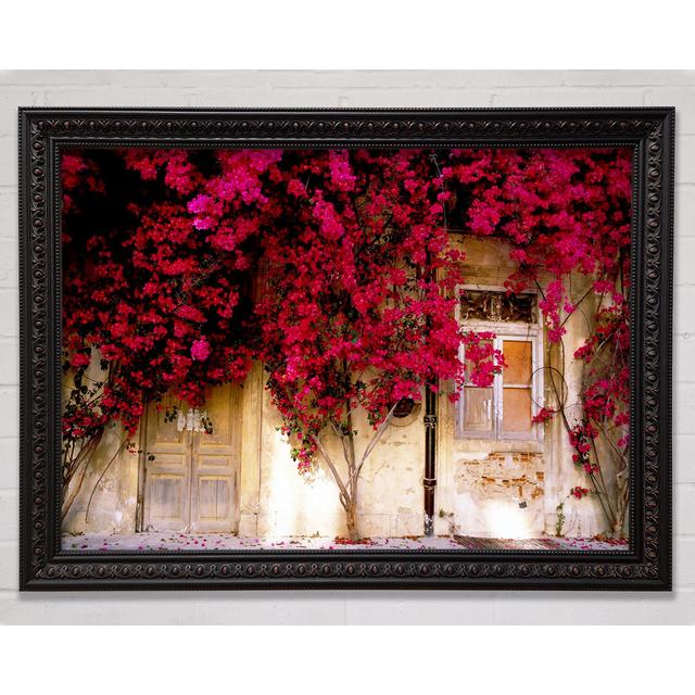 Italian Farmhouse Beauty - Single Picture Frame Art Prints Bright Star Size: 42cm H x 59.7cm W on Productcaster.