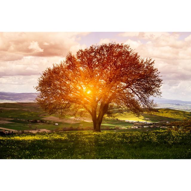 Spring Sunrise by Deimagine - Wrapped Canvas Print 17 Stories Size: 81cm H x 122cm W on Productcaster.