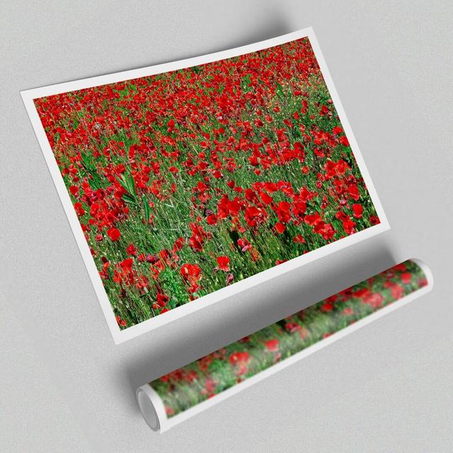 Poppy Field Flowers - Photographic Print on Paper East Urban Home Size: 100cm H x 141.4cm W on Productcaster.