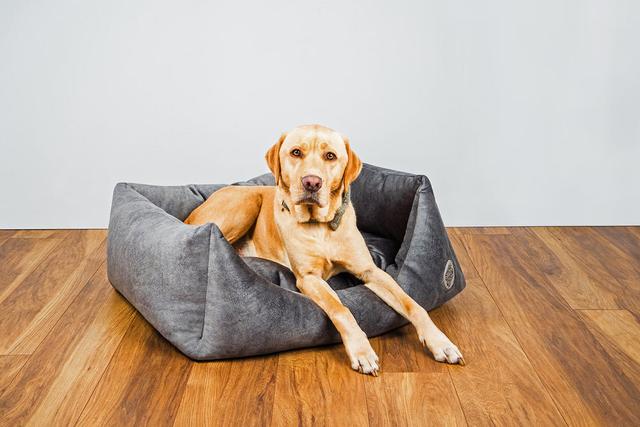 Snug And Cosy Velour Pet Bed Snug and Cosy Colour: Grey, Size: 24cm H x 60cm W x 52cm D on Productcaster.