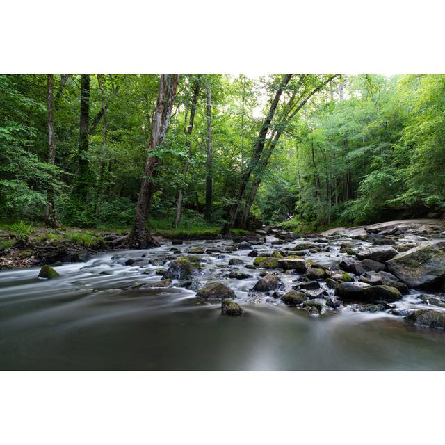 Domingue Umstead State Park - Wrapped Canvas Print Alpen Home Size: 51cm H x 76cm W x 3.8cm D on Productcaster.