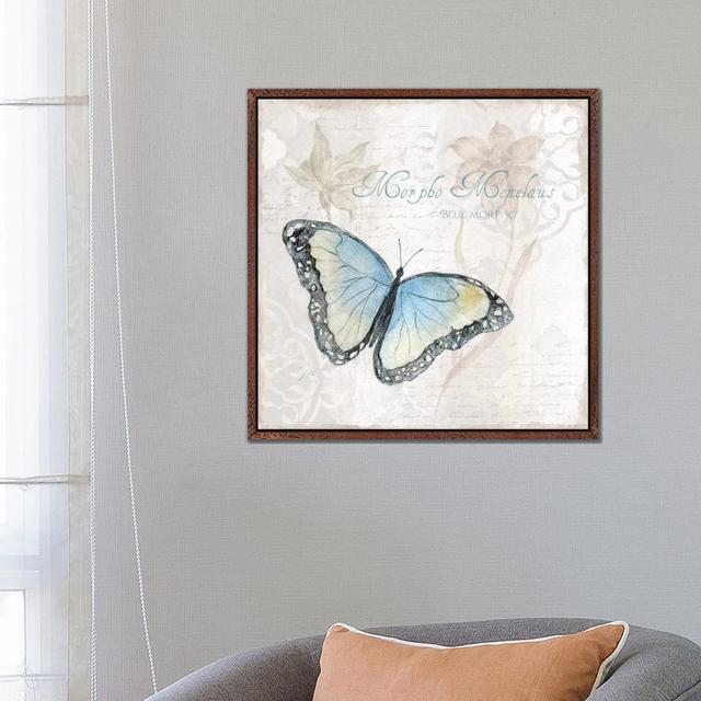 Postcard Butterfly III by Tava Studios - Gallery-Wrapped Canvas Giclée on Canvas Brambly Cottage Format: Classic Wood Framed, Size: 66.04cm H x 66.04c on Productcaster.