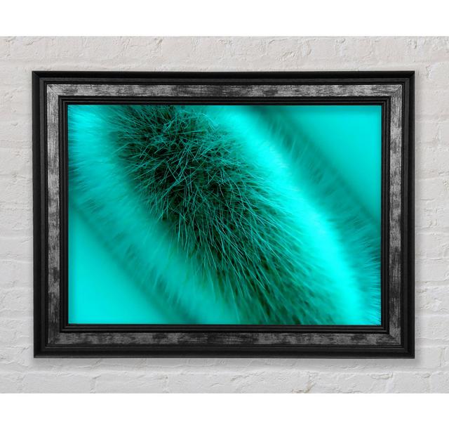 Fur Stem - Single Picture Frame Art Prints Bright Star Size: 42cm H x 59.7cm W x 8cm D on Productcaster.