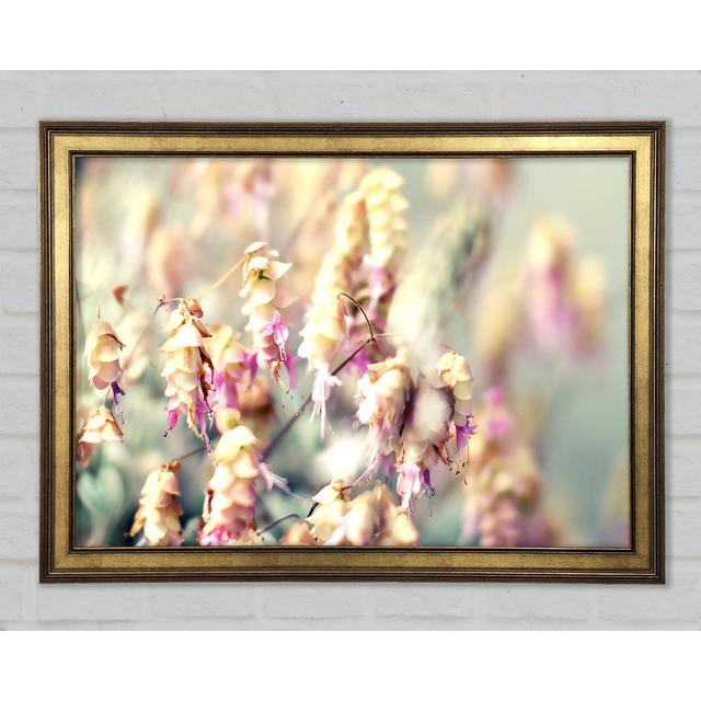 Wild Flowers In Spring - Single Picture Frame Art Prints Latitude Run Size: 84.1cm H x 118.9cm W x 1.5cm D on Productcaster.