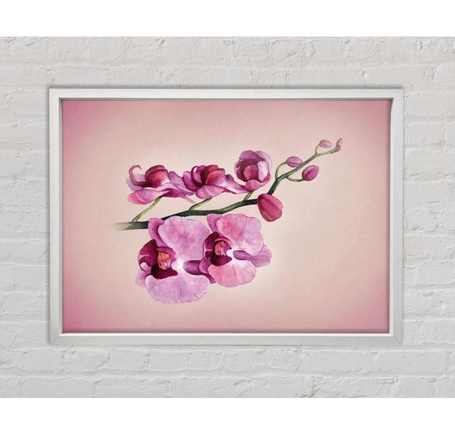 Pink Orchid - Single Picture Frame Art Prints on Canvas Bright Star Size: 100cm H x 141.4cm W x 3.3cm D on Productcaster.