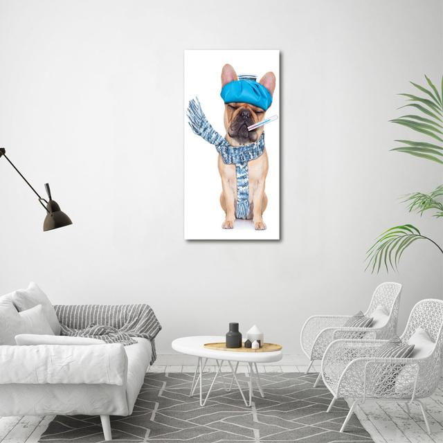 Kranker Hund - Kunstdrucke auf Leinwand - Wrapped Canvas Ebern Designs on Productcaster.