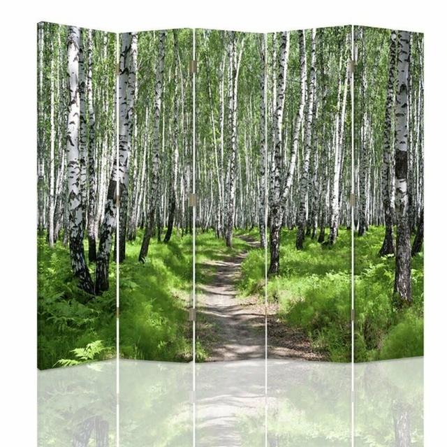 Canvas Birch Forest 5 Panel Room Divider Union Rustic on Productcaster.