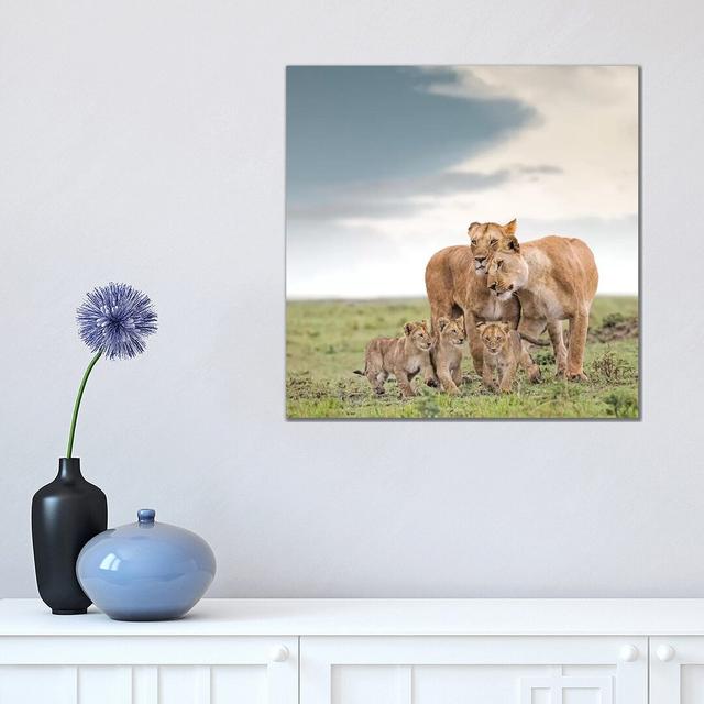 Colour Lioness & Cubs by Klaus Tiedge - Print on Canvas World Menagerie Size: 45.72cm H x 45.72cm W x 1.91cm D, Format: Wrapped Canvas on Productcaster.