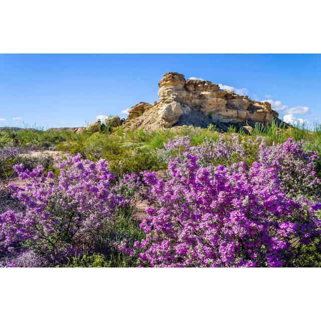 Big Bend National Park by Dszc - Wrapped Canvas Print 17 Stories Size: 20cm H x 30cm W x 3.8cm D on Productcaster.