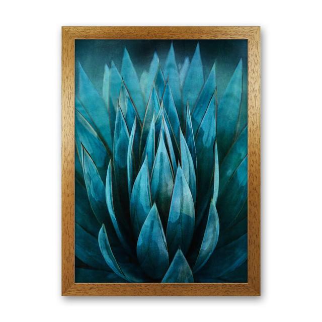 Blue Succulent - Graphic Art Print on Paper 17 Stories Frame Option: Brown Framed, Size: 63cm H x 46cm W x 3cm D on Productcaster.