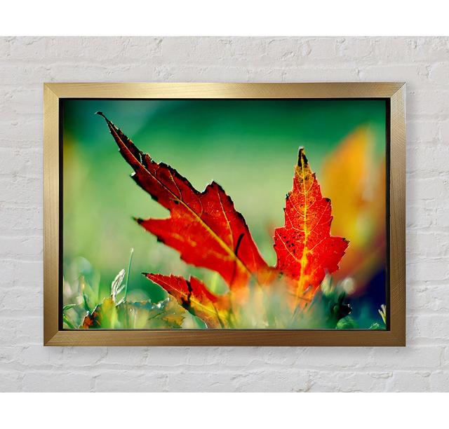 Autumn Leaf - Print Brayden Studio Format: Gold Framed Paper, Size: 42cm H x 59.7cm W x 3.4cm D on Productcaster.