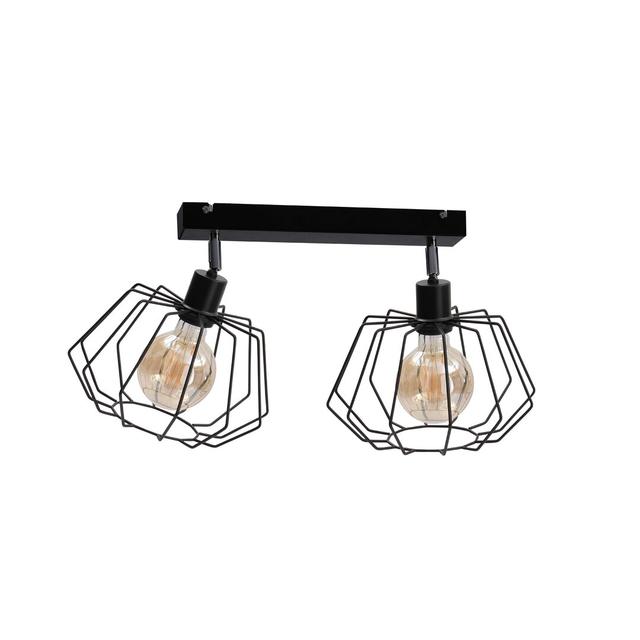 Tequesta 2-Light 52cm Ceiling Spotlight Latitude Run Finish: Black on Productcaster.