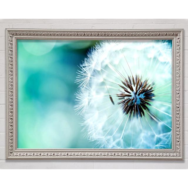 Dandelion Flower Wish Framed Print Bright Star Size: 42cm H x 59.7cm W on Productcaster.