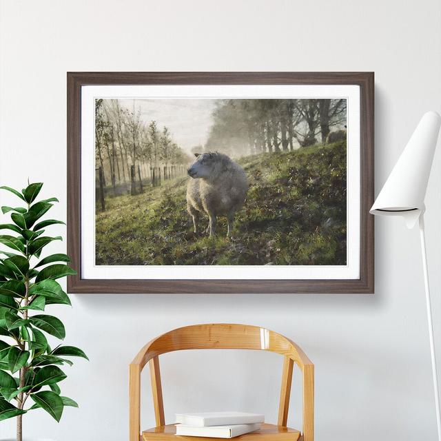 Woolly Sheep - Picture Frame Graphic Art East Urban Home Size: 48cm H x 65cm W x 2cm D, Frame Option: Walnut Framed on Productcaster.