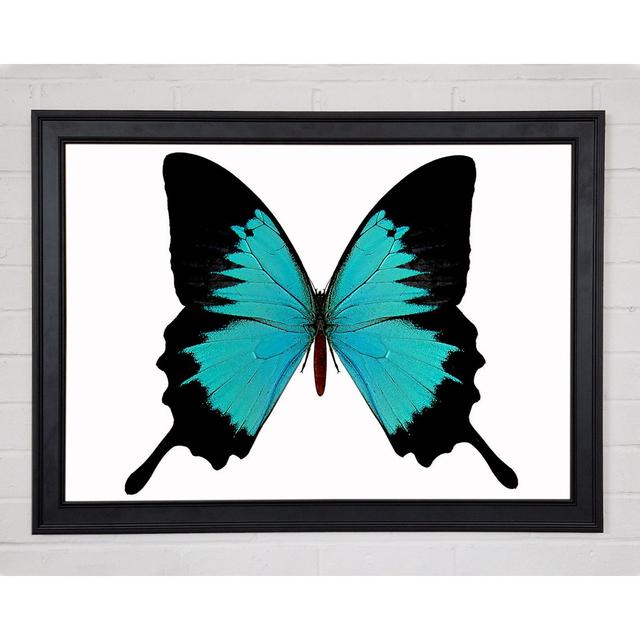 Butterfly Beauty - Single Picture Frame Art Prints August Grove Size: 42cm H x 59.7cm W x 1.5cm D on Productcaster.