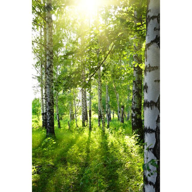 Summer Birch Woods by Mik122 - Wrapped Canvas Print Union Rustic Size: 76cm H x 51cm W x 3.8cm D on Productcaster.